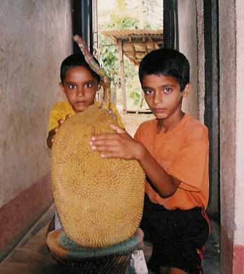 Mahesh & Madhab with Jackfruit