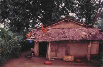 Tharu Village