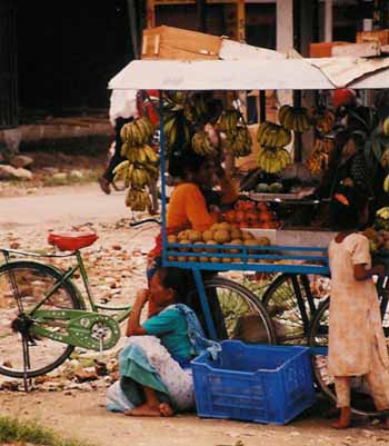 Tandi Bazaar